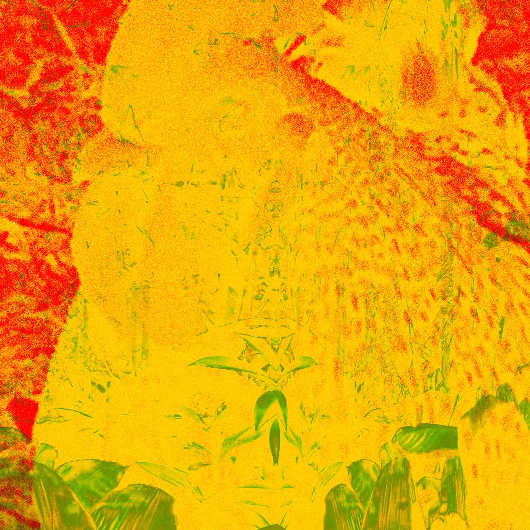Employee of the Month – Reggae May Session w/ Cuche & Toussaint